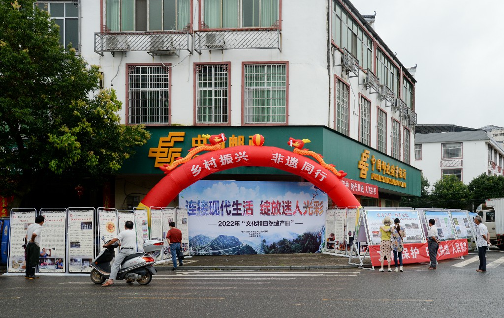 DSC_5641~1.jpg